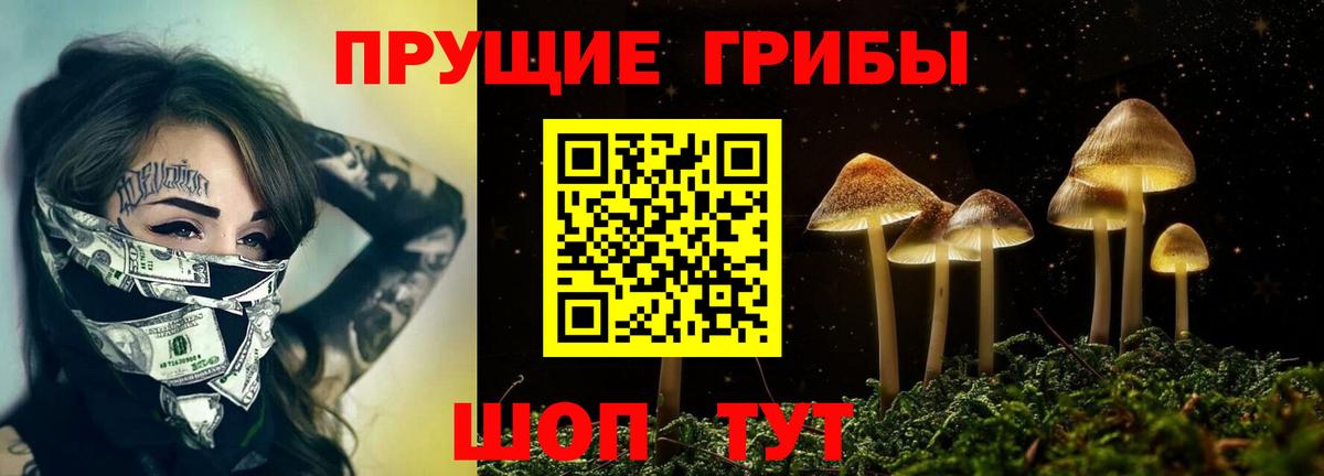 Галлюциногенные грибы прущие грибы  Вход с VPN  Балабаново 
